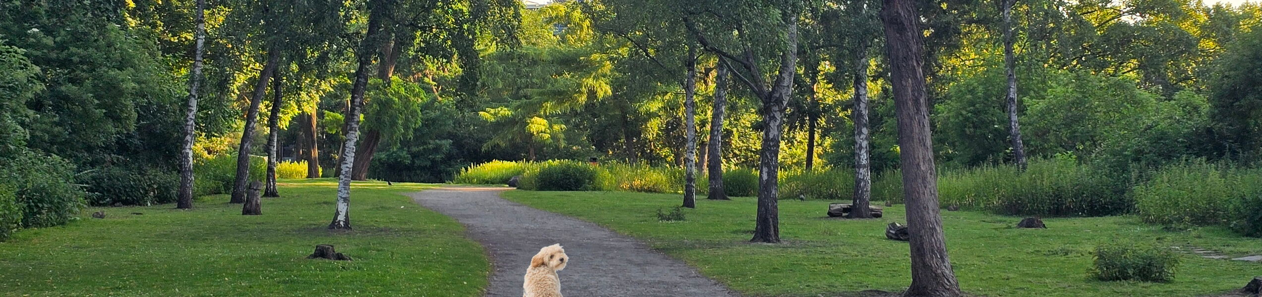Der Weg